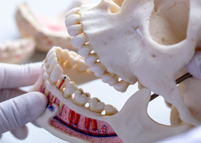 Advanced diagnostic tools including 3D imaging (CBCT)