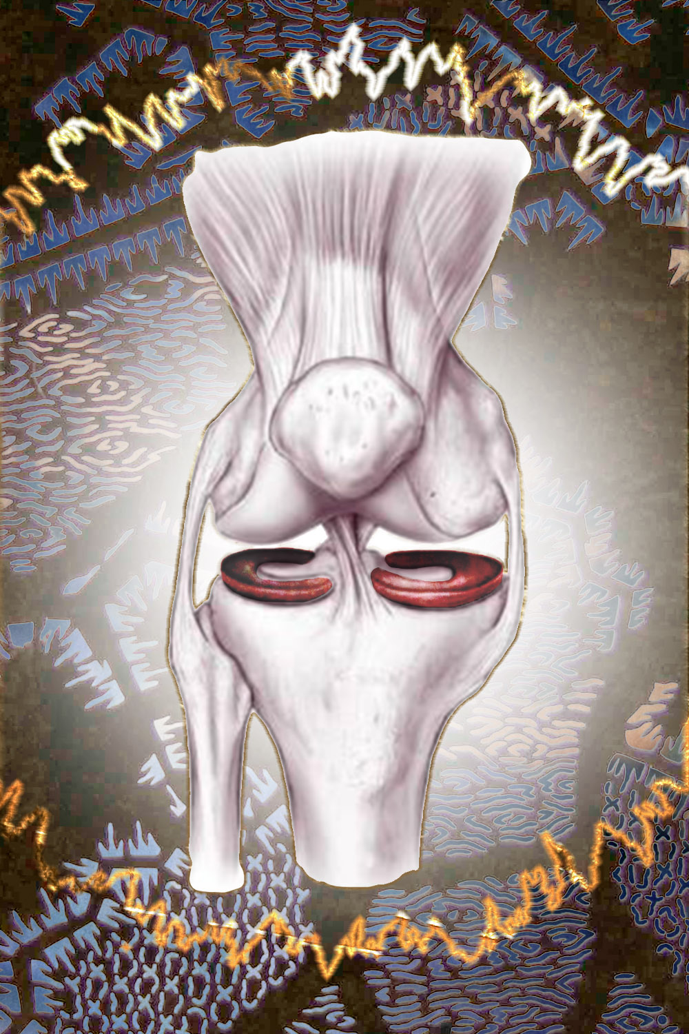 The Knee – A Masterpiece of Biomechanics