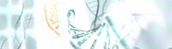 NGS dient unter anderem dazu, die molekularen Eigenschaften eines Tumors möglichst genau zu untersuchen.