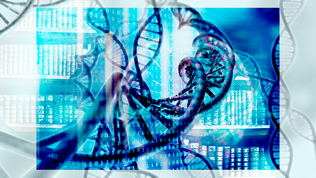 DNA analysis generates large amounts of data. During sample preparation, the DNA fragments are assembled into a sequencing library. Depending on the sequencing technology used, the fragments are then amplified. In certain sequencing methods, this results in so-called DNA clusters, each consisting of multiple copies of a DNA fragment.